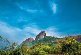 Moodbidri Konaje Kallu